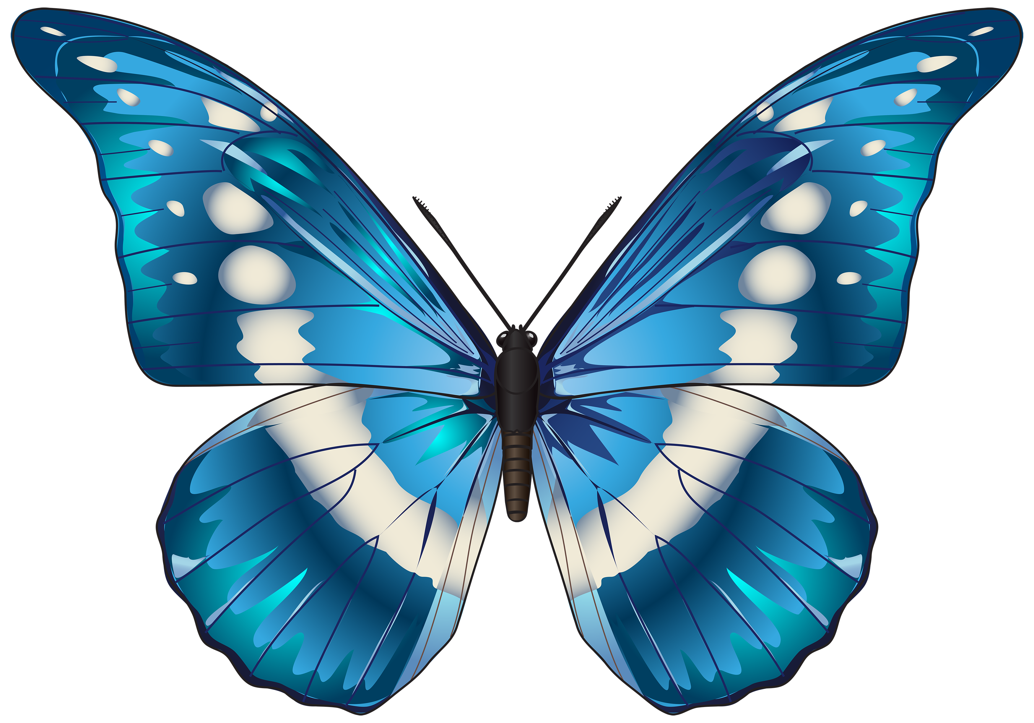 Прозрачная бабочка пнг. Бабачкина прозрачном фоне. Красивые бабочки на белом фоне. Голубая бабочка на прозрачном фоне. Картинка бабочка на прозрачном фоне.