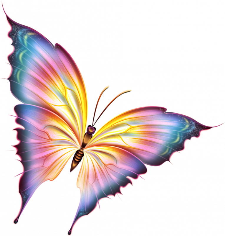 Прозрачном фоне формата png. Бабочка рисунок. ФО О бабочки прозрачной. Бабачкина прозрачном фоне. Разноцветные бабочки.
