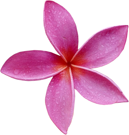 Цветы по отдельности