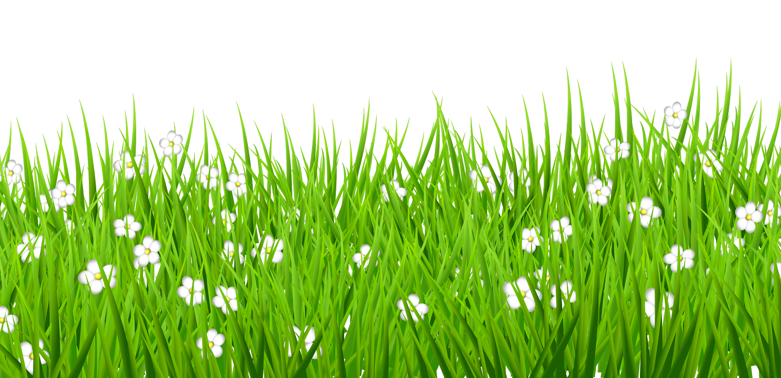 Травка с цветочками. Трава вектор. Трава на прозрачном фоне. Трава на белом фоне. Лужайка с цветами.
