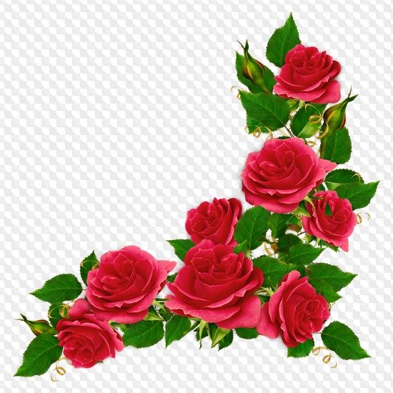 Уголок из роз