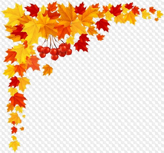 Уголок осенние листья на прозрачном фоне (35 фото)