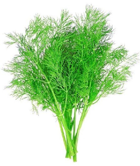 Укроп 250г