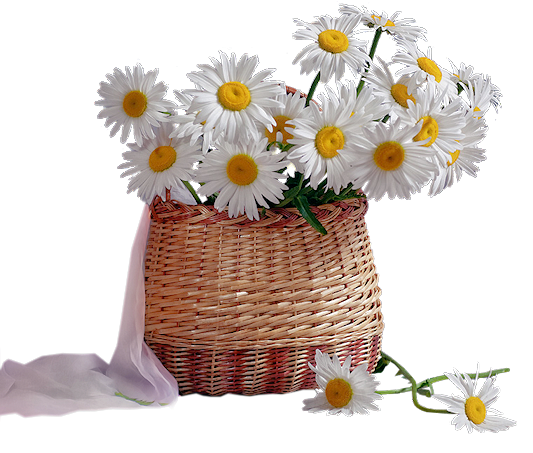 Корзинка с ромашками