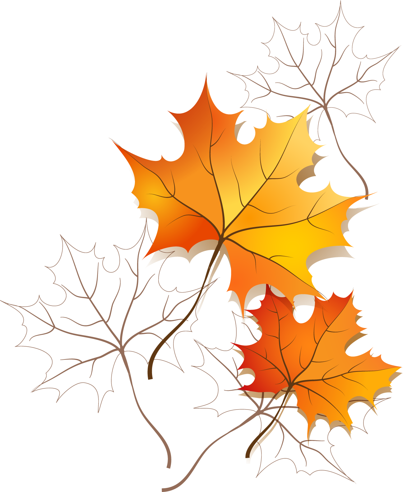 Осенний лист рисунок. Осенние листья на прозрачном фоне. Осенний кленовый лист. Клипарт осенние листья на прозрачном фоне. Осенние листики на прозрачном фоне.