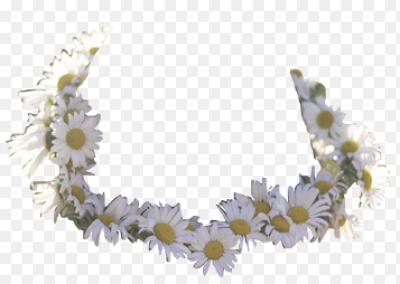 Венок из полевых цветов на прозрачном фоне