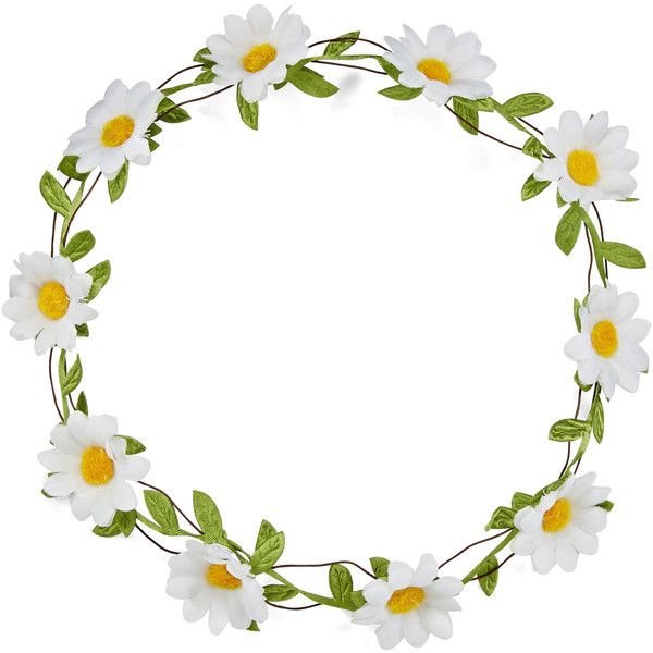 Рамка из цветов ромашек