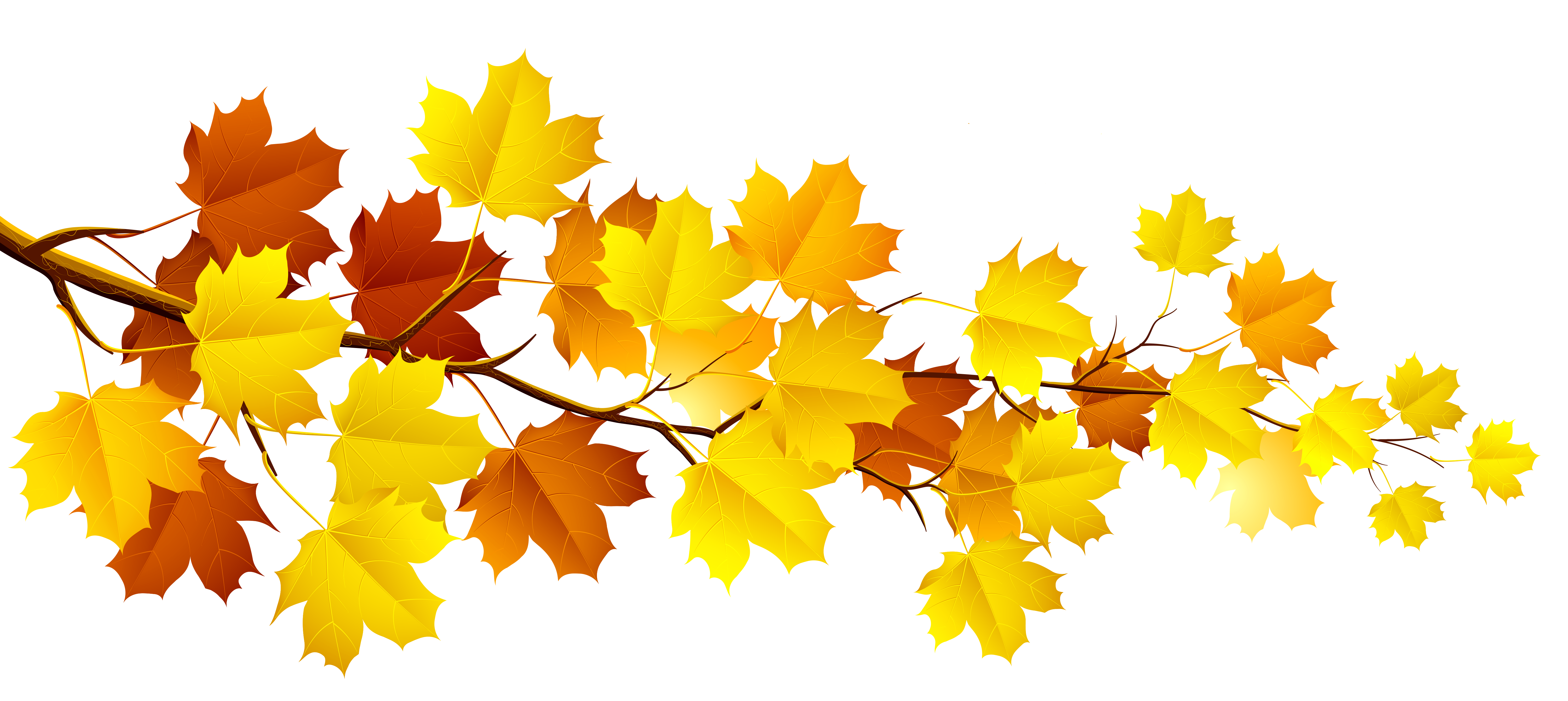 Ветка осенних листьев. Желтый лист. Осенняя веточка. Осенние листья на прозрачном фоне. Осенняя листва на прозрачном фоне.