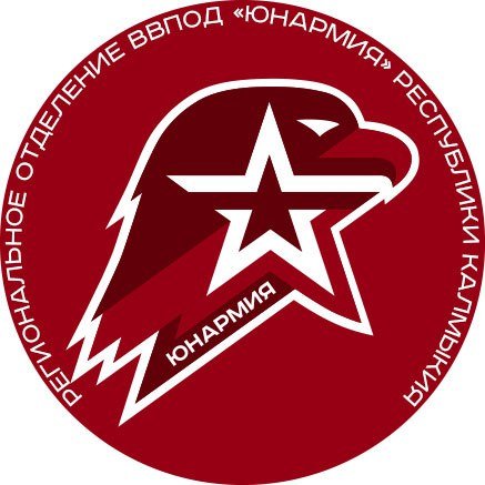 ВВПОД Юнармия эмблема
