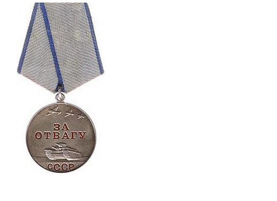 Медаль за отвагу 1996 года