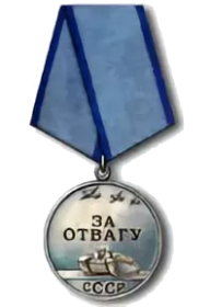 Медаль за отвагу СССР без фона