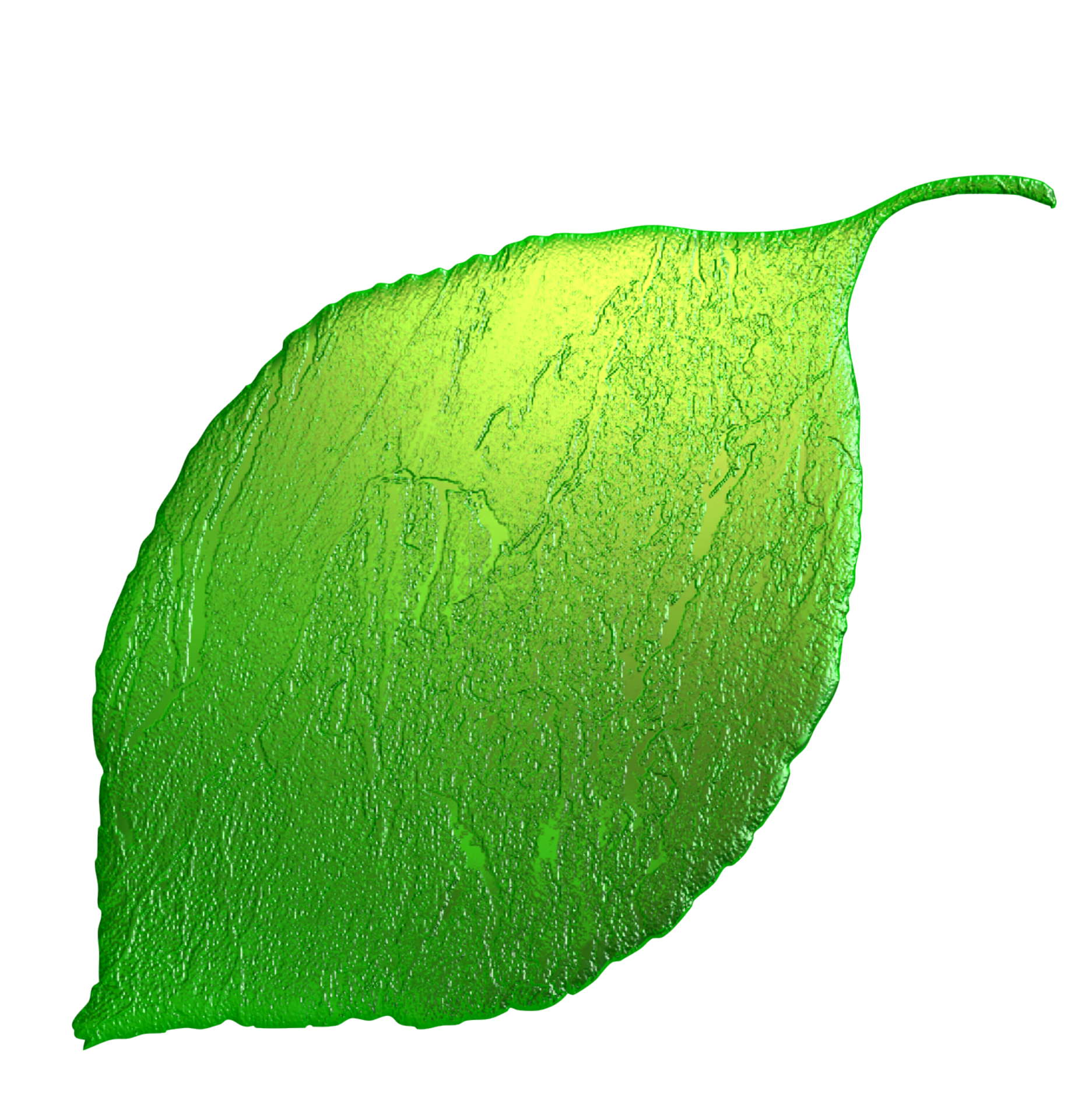 Зеленые листочки. Листочки на прозрачном фоне. Зеленые листики на прозрачном фоне. Листок зеленого цвета.