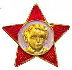 Октябрятский значок вектор