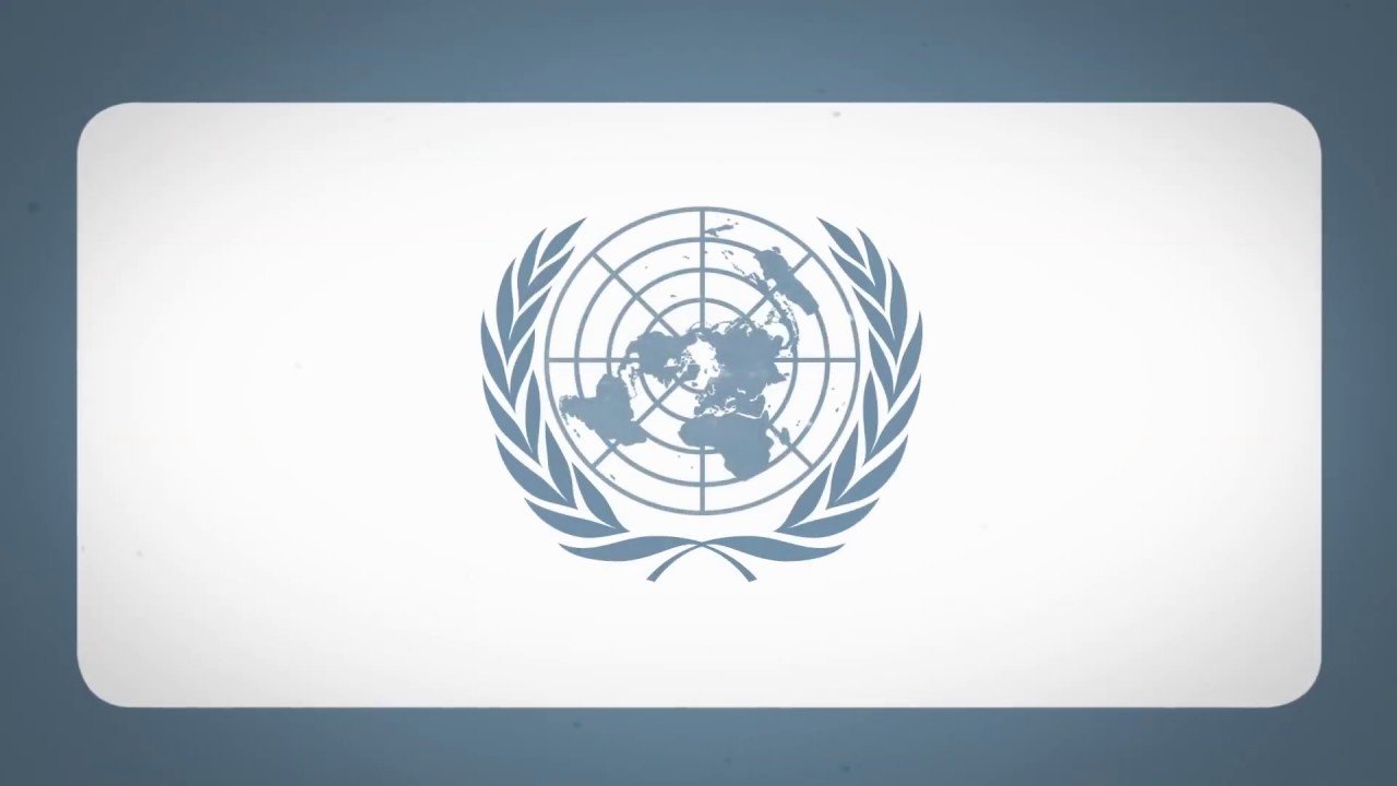 Оон без. ЭКОСОС ООН. ЭКОСОС ООН логотип. Флаг организации Объединенных наций. Экономический и социальный совет ООН.