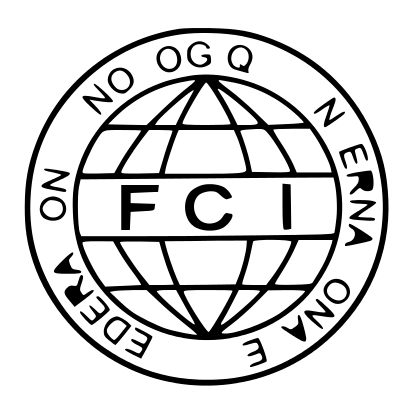 Значок FCI на прозрачном фоне
