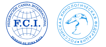 Эмблема РКФ на прозрачном фоне