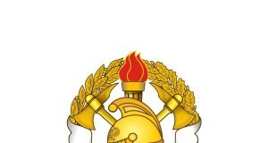 ВДПО Владимирской области логотип