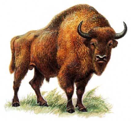 ЗУБР для детей