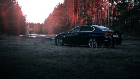 БМВ f10 лес