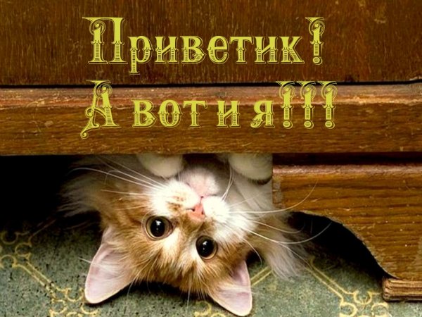 Приветик а вот и я