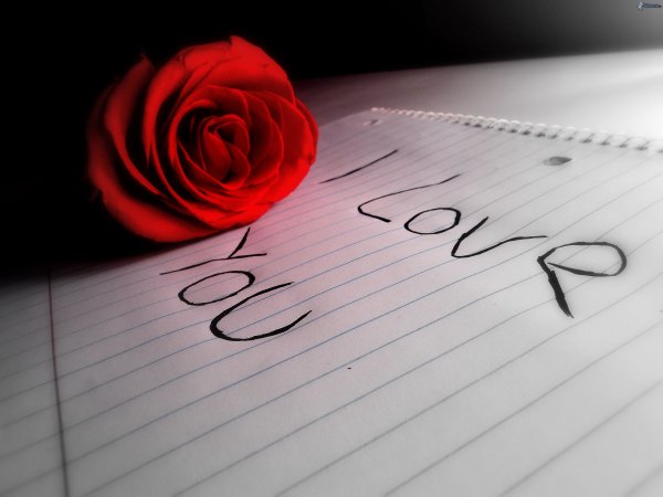 Я тебя люблю