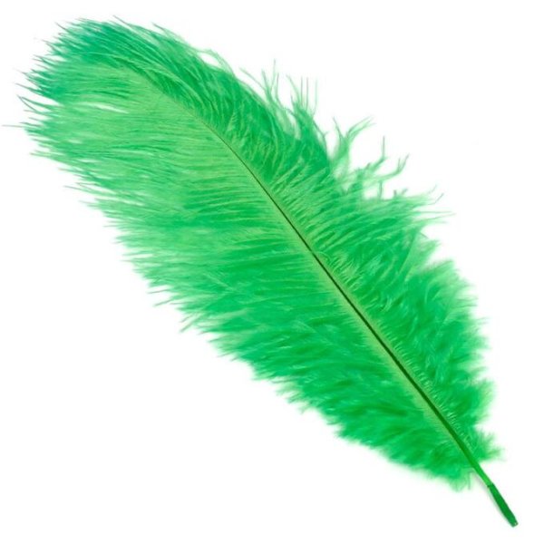 Перо на зеленом фоне