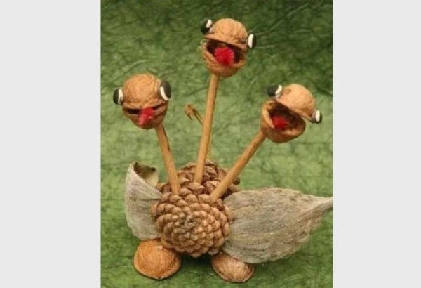 Поделки из грецкого ореха