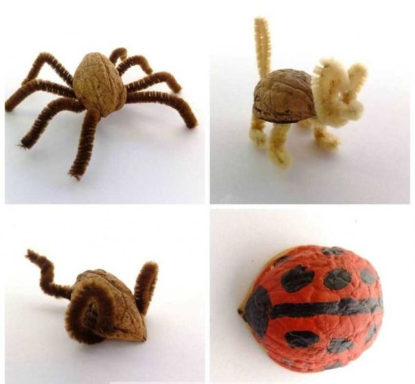 Из скорлупы грецкого ореха и пластилина