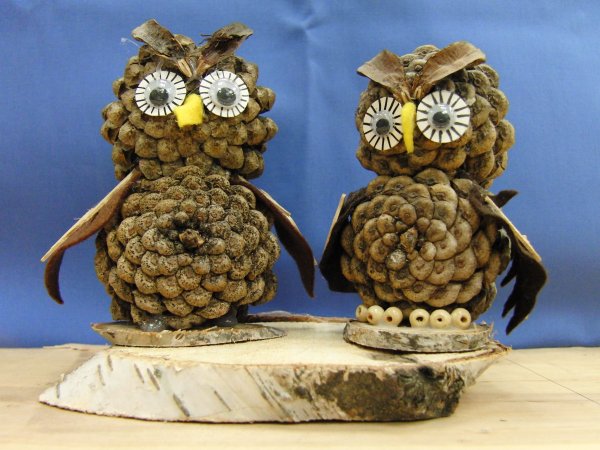 Поделка Сова из природного материала