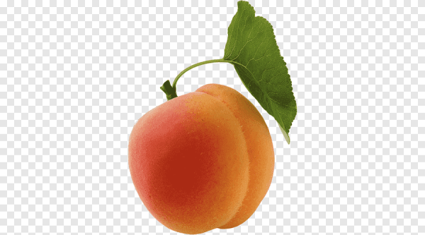 Абрикос для фотошопа