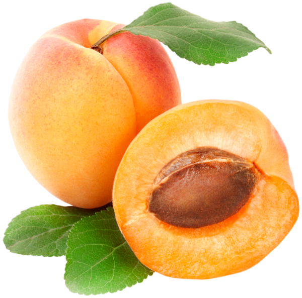 Абрикос плод