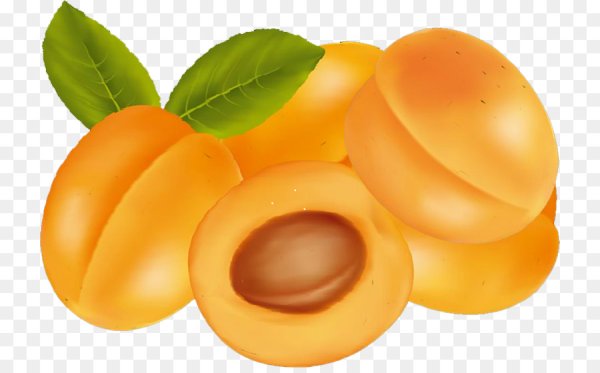 Абрикос на прозрачном фоне