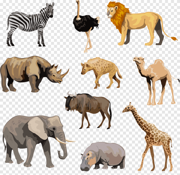 Животные саванны на белом фоне