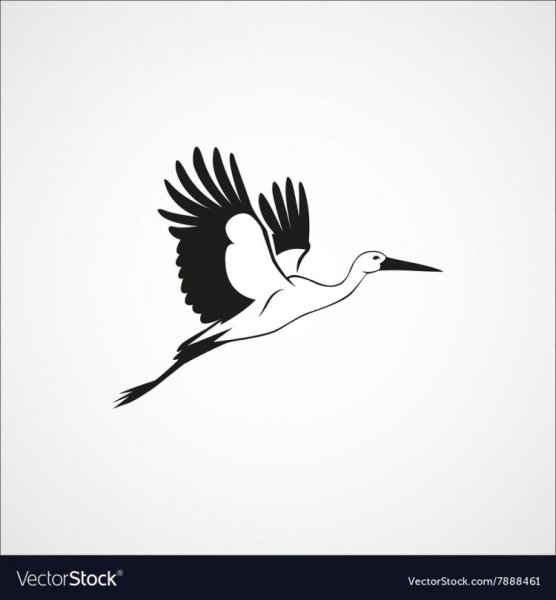 Силуэт аиста в полете