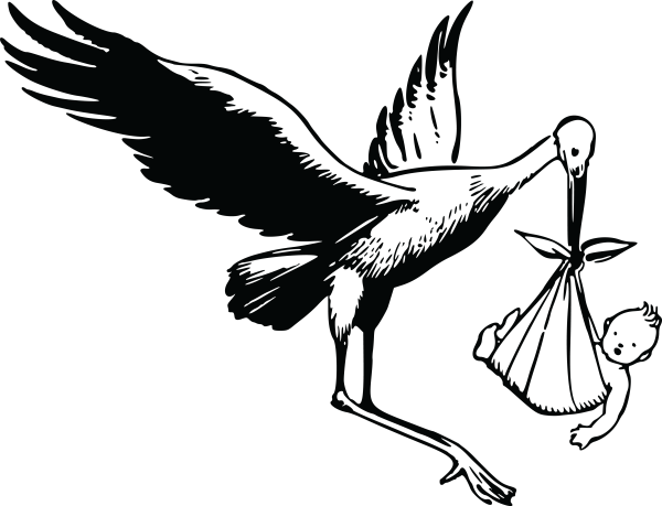 Аист рисунок