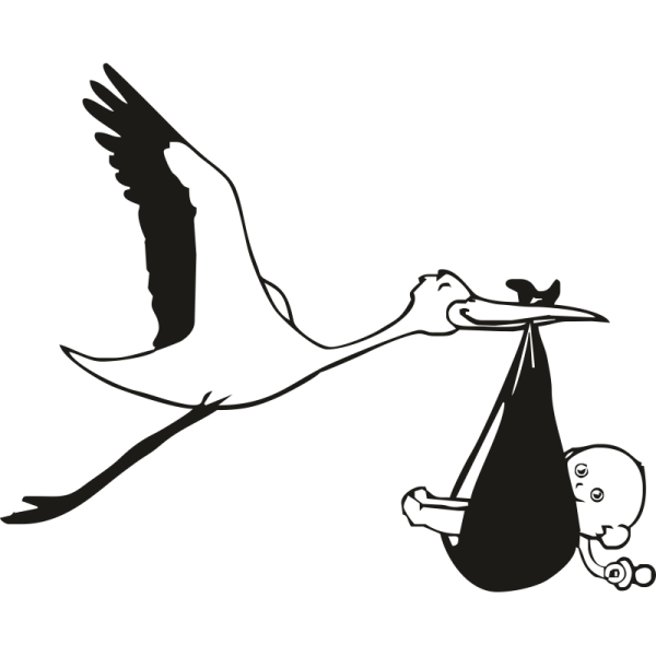 Аист с малышом