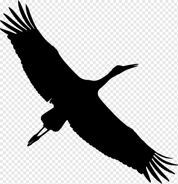 Силуэт журавля в полете