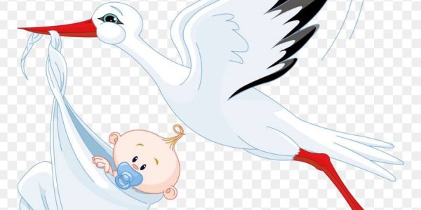 Аист с малышом