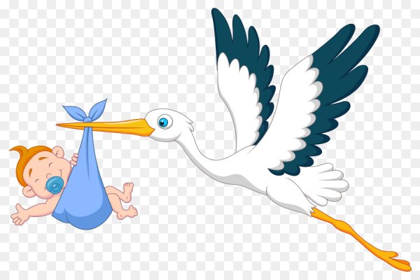 Аист с малышом