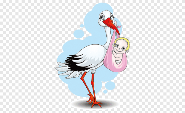 Аист с малышом на прозрачном фоне