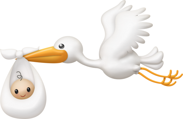 Аист картинка для детей