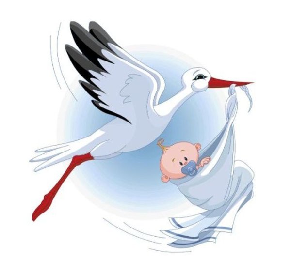 Аист с мальчиком в клюве