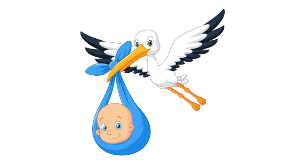 Аист с малышом