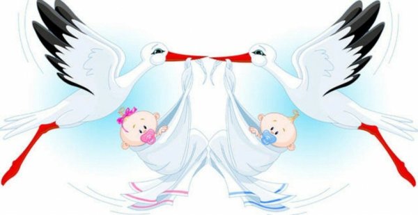 Аист приносит ребенка