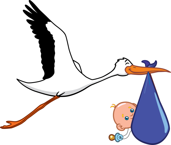 Аист с малышом