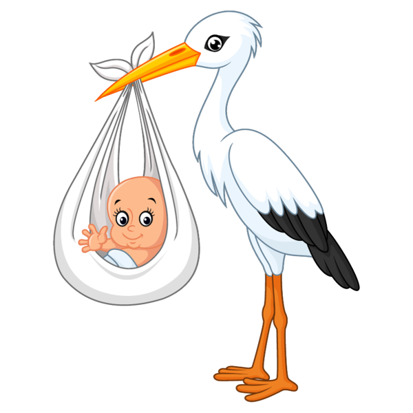 Аист рисунок