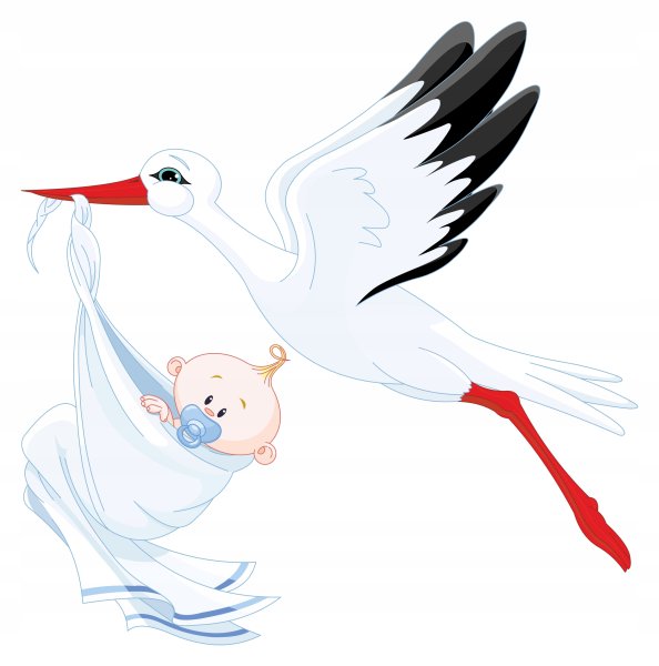 Аист с малышом