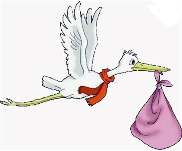 Аист с ребенком