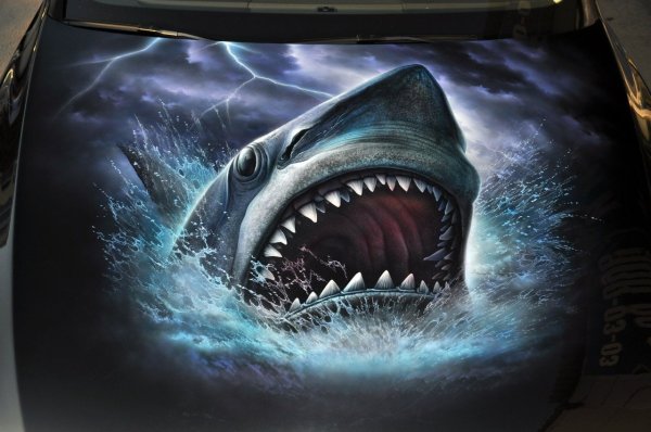 Акула машина