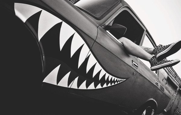 Акулья пасть на машине
